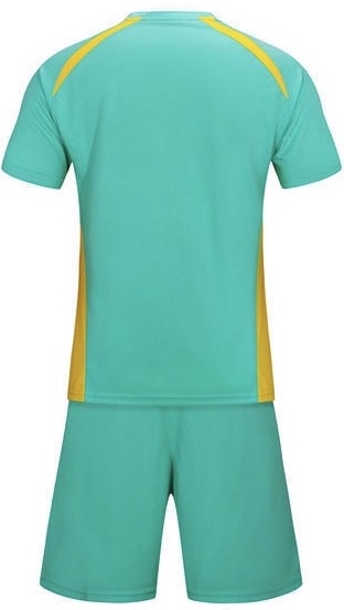 MC09 Teal Back